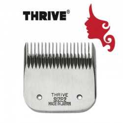 Testina ricambio Thrive 808 altezza 2