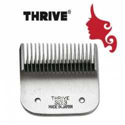 Testina ricambio Thrive 808 altezza 3