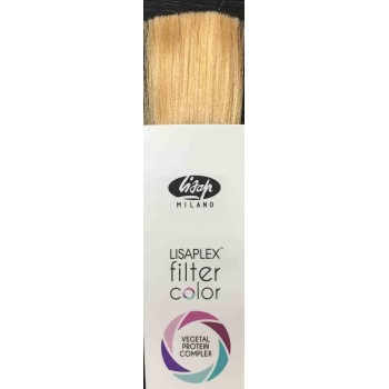 Lisaplex Filter Color 100 ml 2