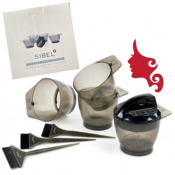 Mescolatore Elettrico per Colore SIBEL COLOR ECONOMISER